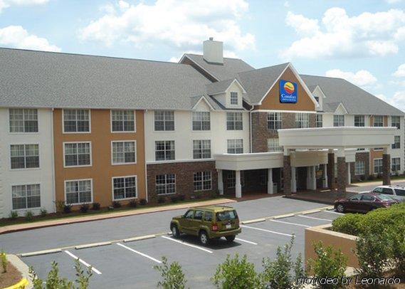 Comfort Inn & Suites Ballpark Area Smyrna Exterior photo